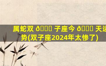 属蛇双 🐘 子座今 🐋 天运势(双子座2024年太惨了)